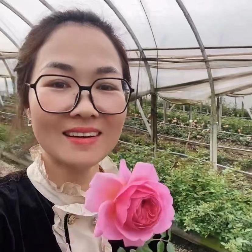 憨包花
