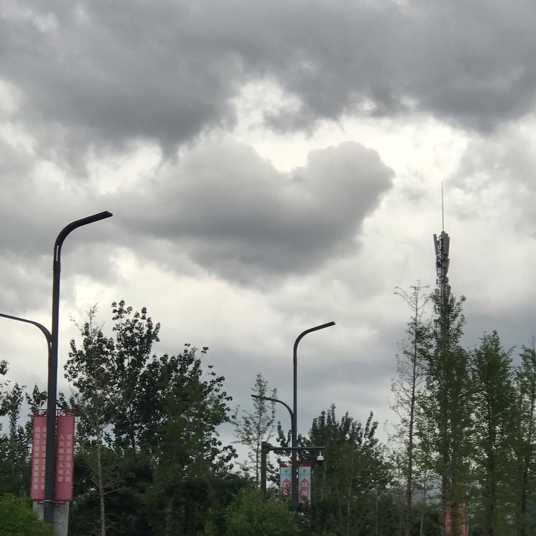 手机用户63657265552