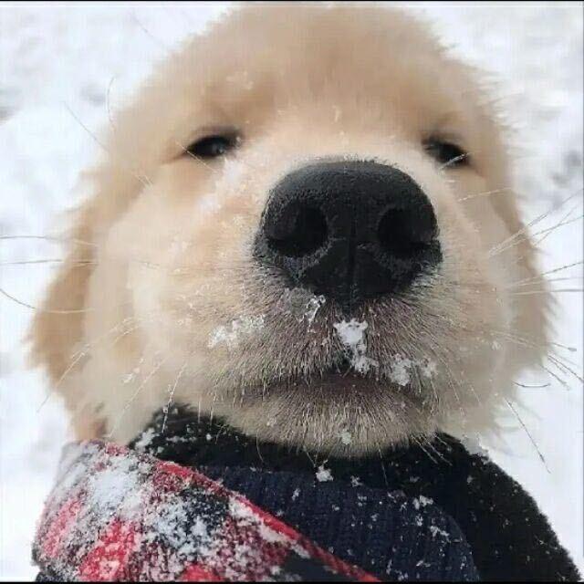 一介草民.