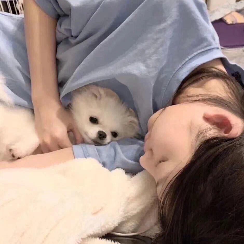 爱喝茉莉乌龙