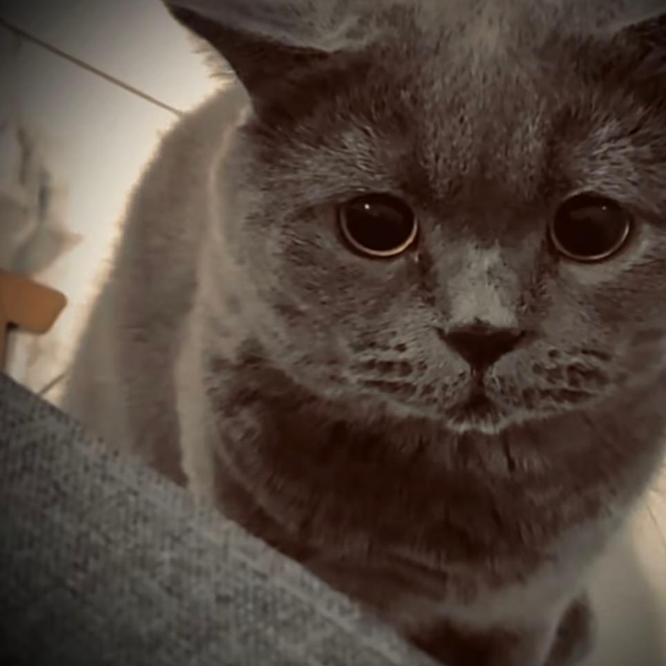 绛橘色的日落T_T