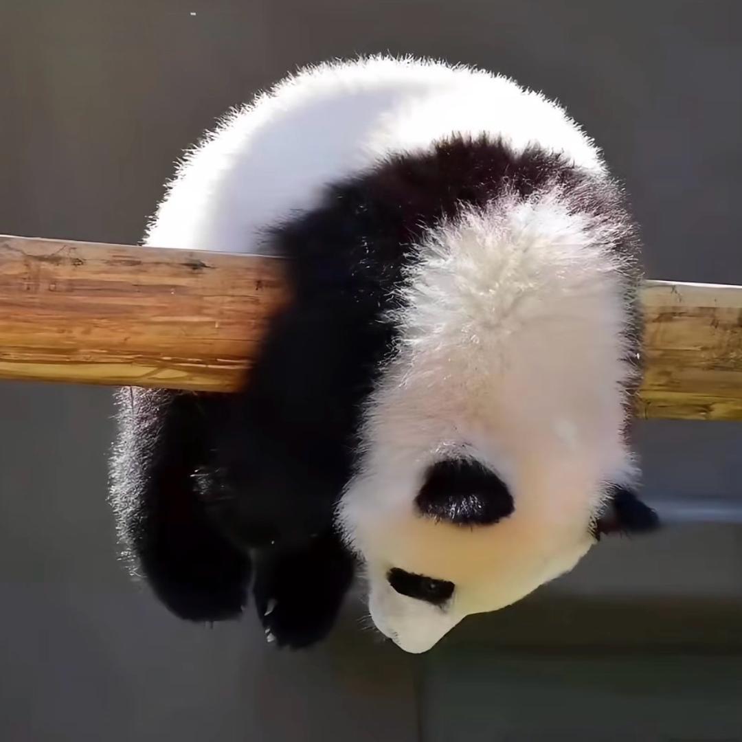 和我说话请投币