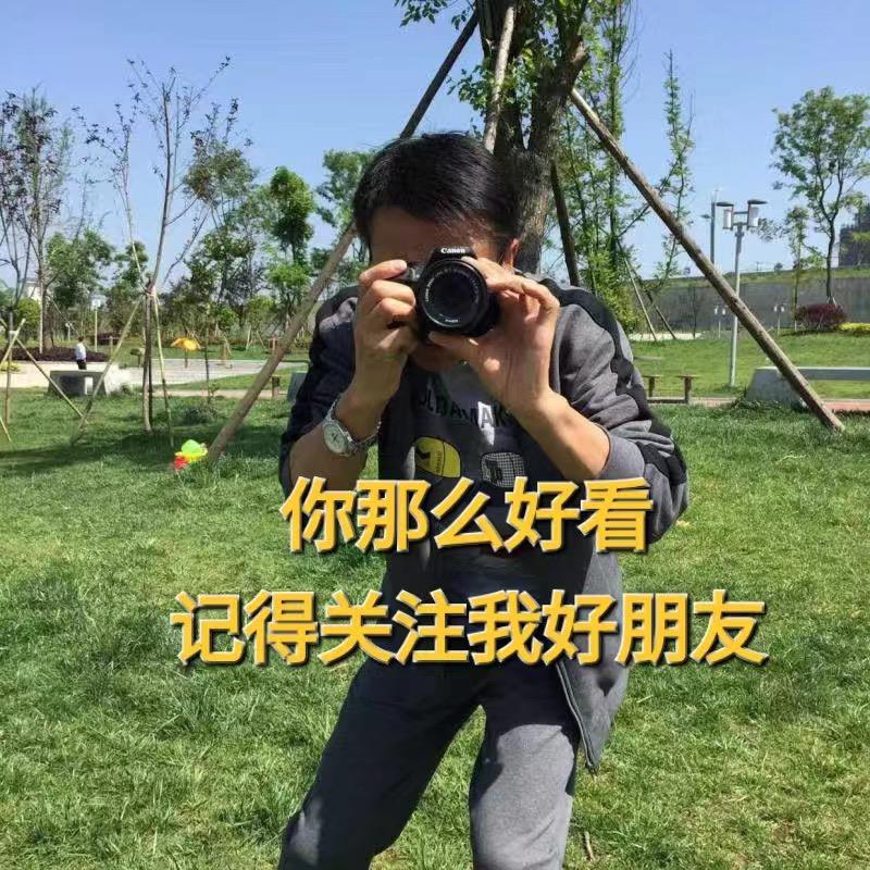 飞宇自媒体