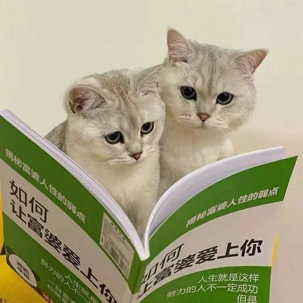柳下惠