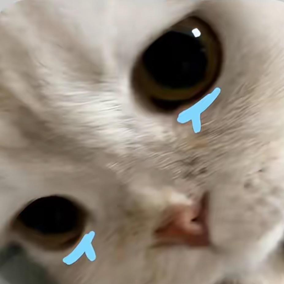 人