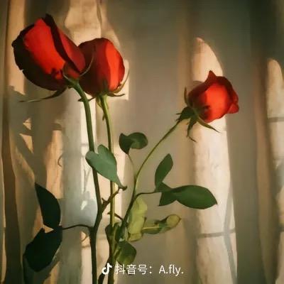 💞࿐: ᭄小🍒幸᭄运