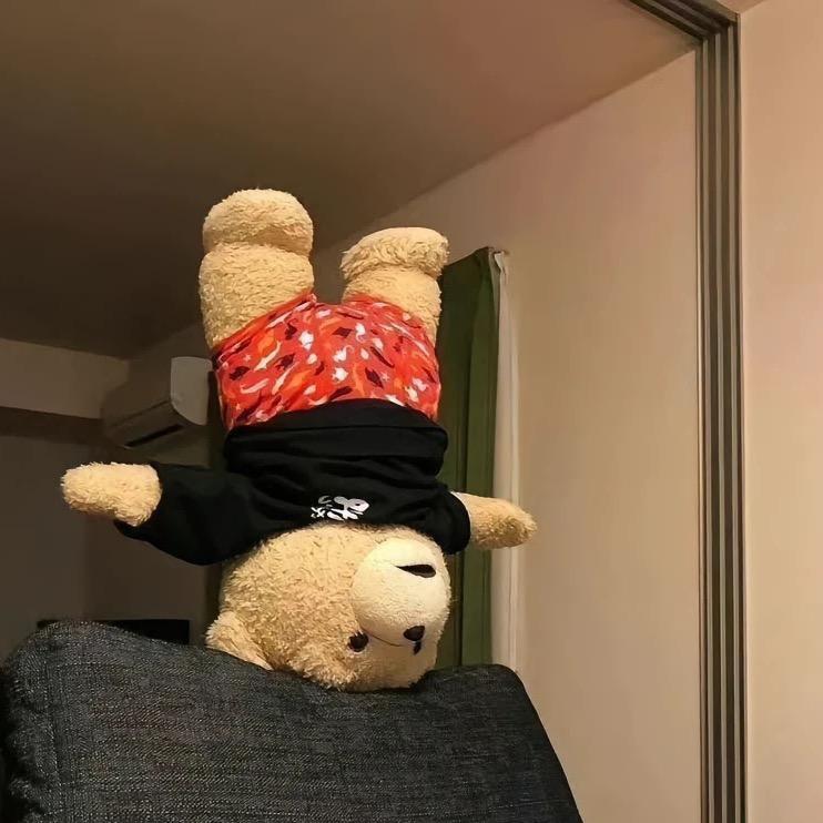 只🐷精 ••