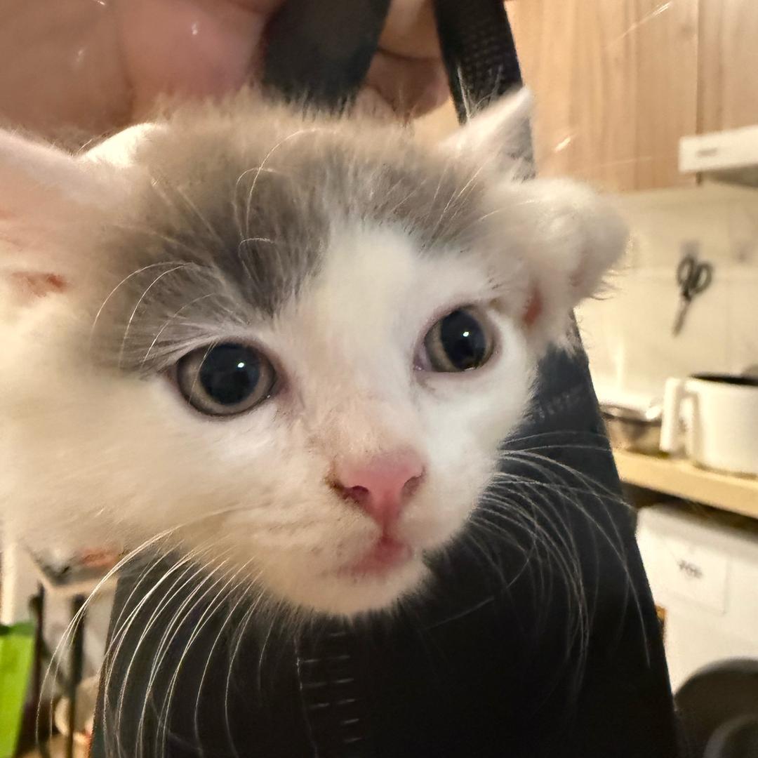 桃子味的夏天🍑