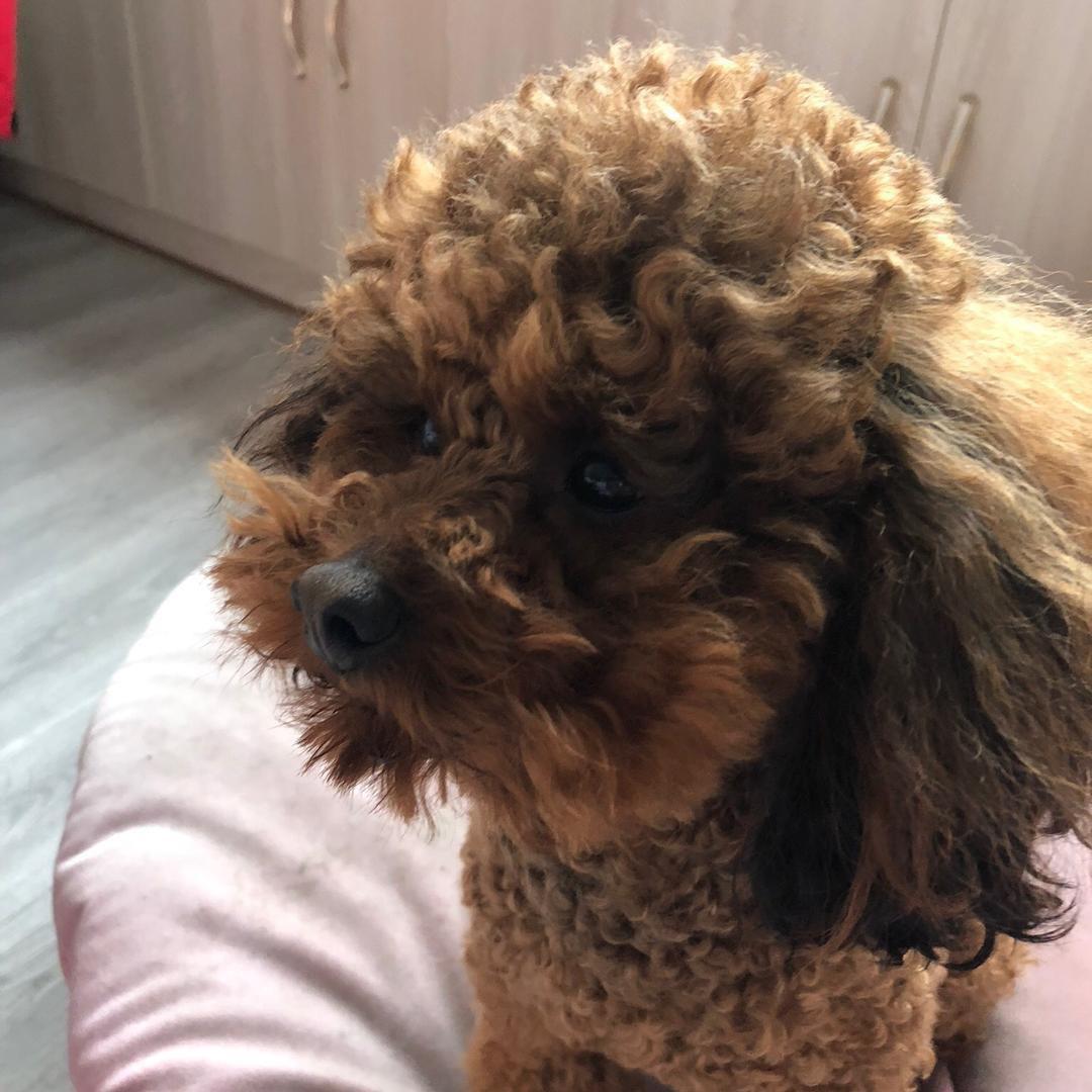 🪐金箍棒就棒在配我的发型