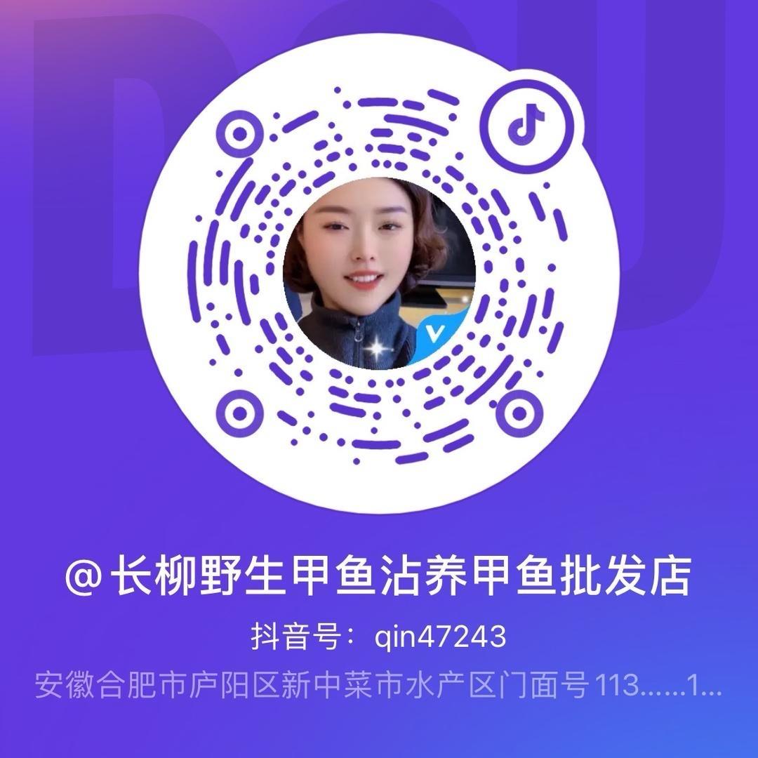 长柳野生甲鱼沾养甲鱼批发店