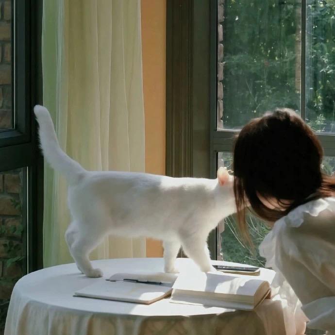 椰汁.