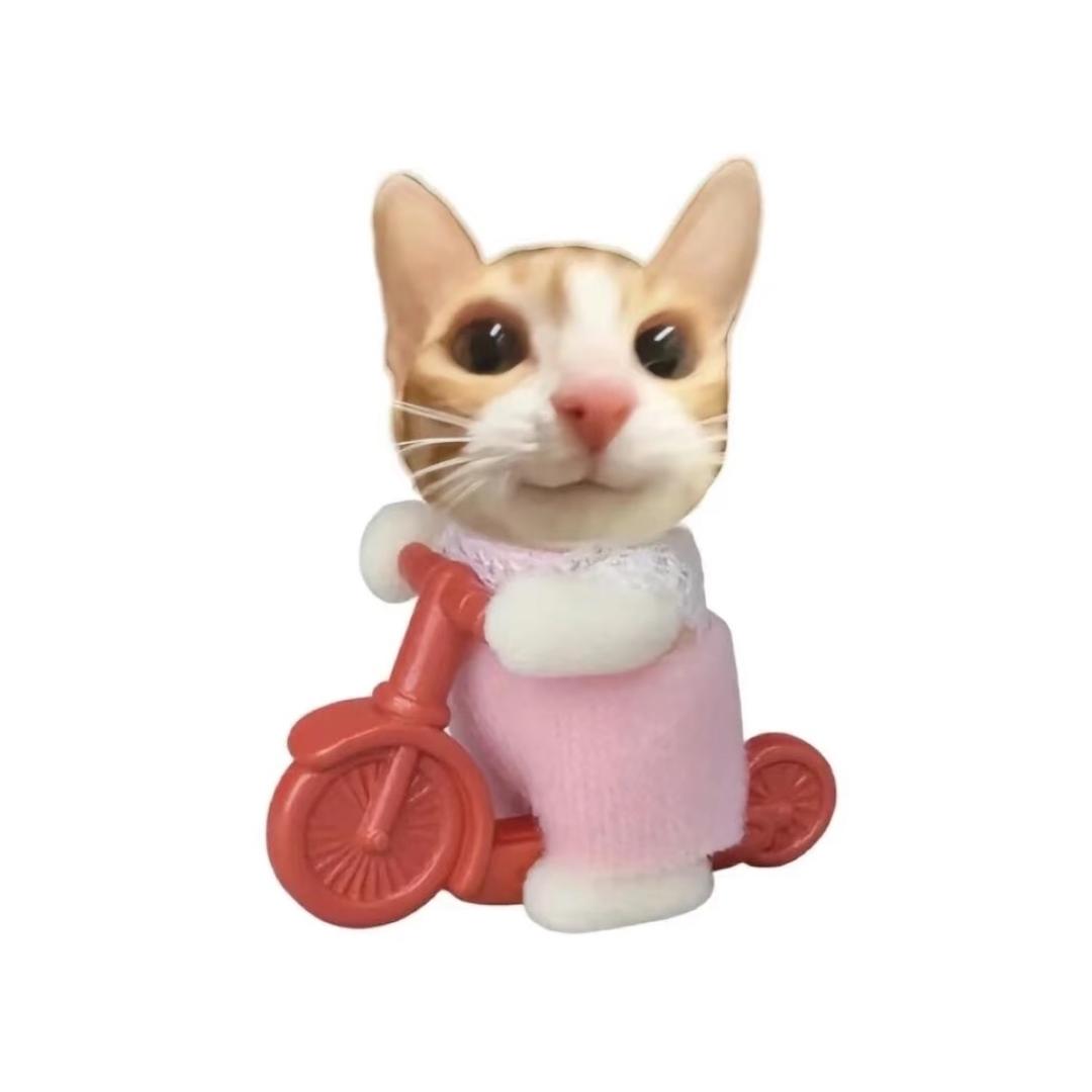 反方向的猫