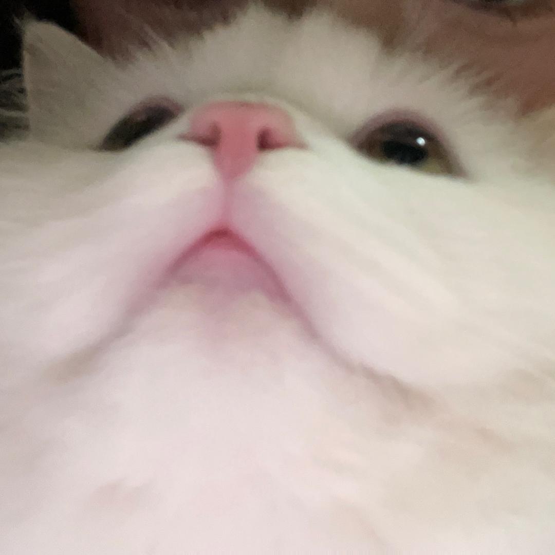 吨 吨