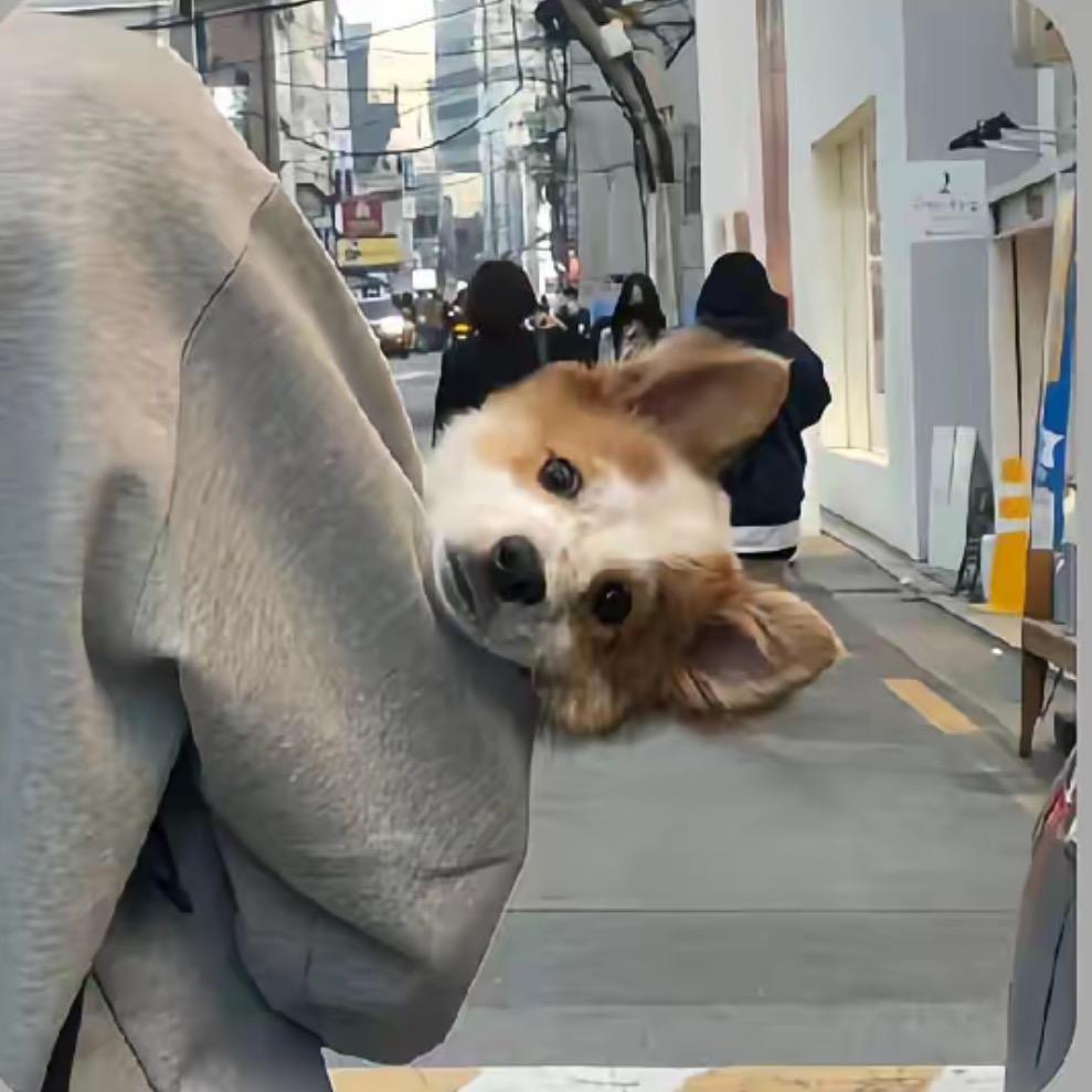 小瑰