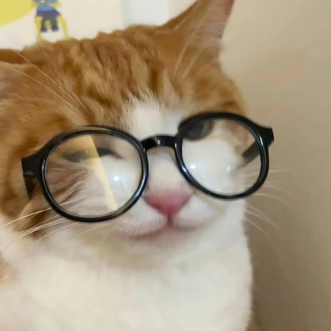 汤圆不圆