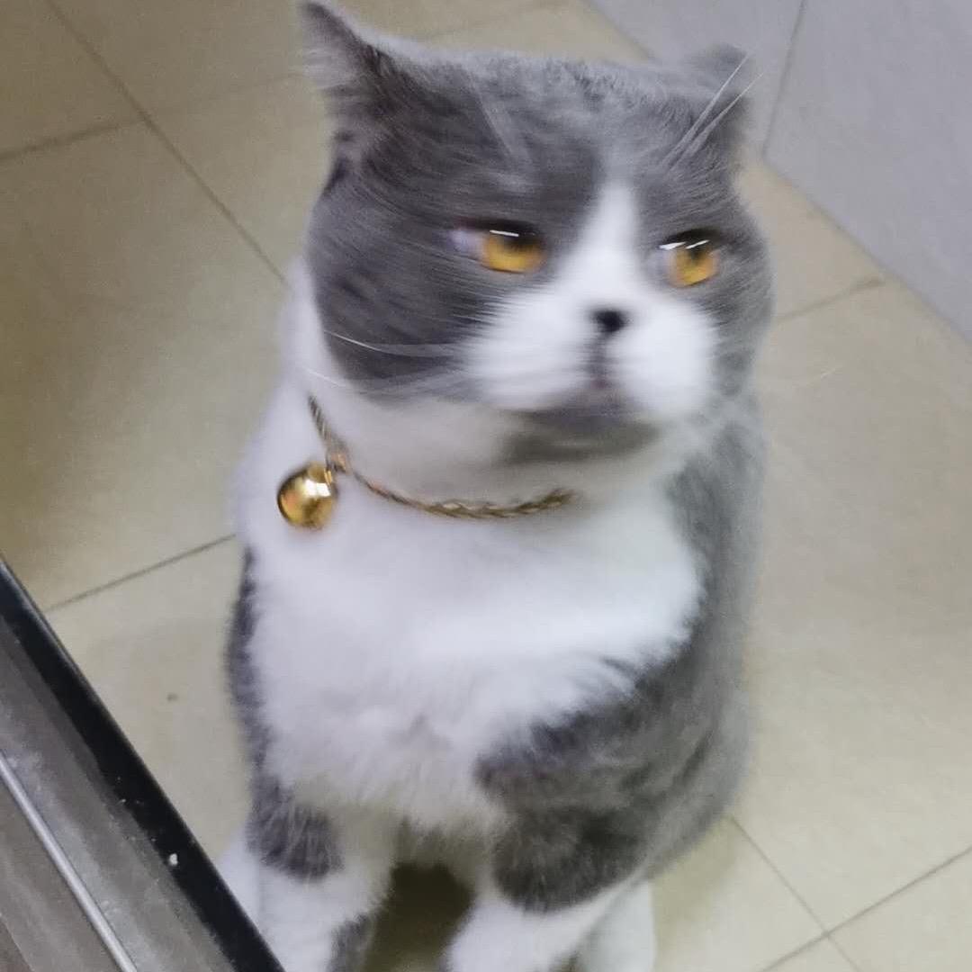拾荒者≠过客
