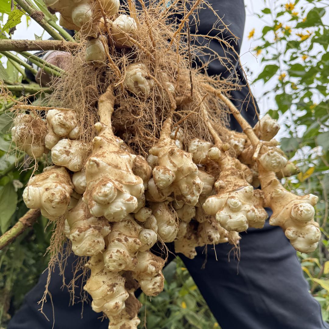 搏航生鲜企业店