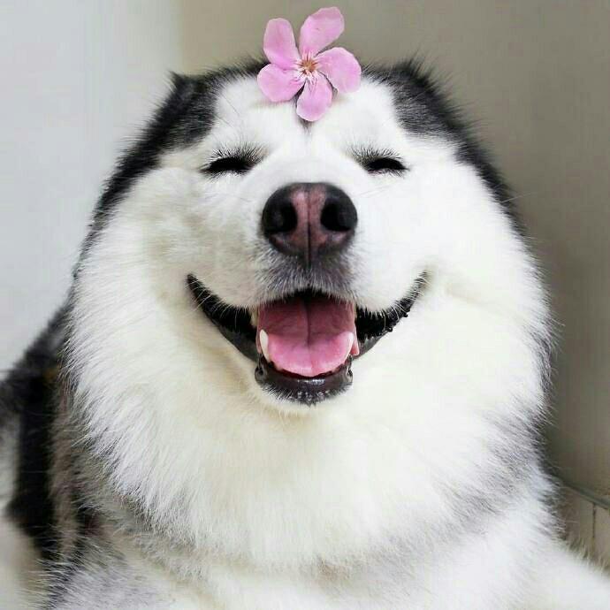 🌈鱼丸粗面❦ั͡✾🍃