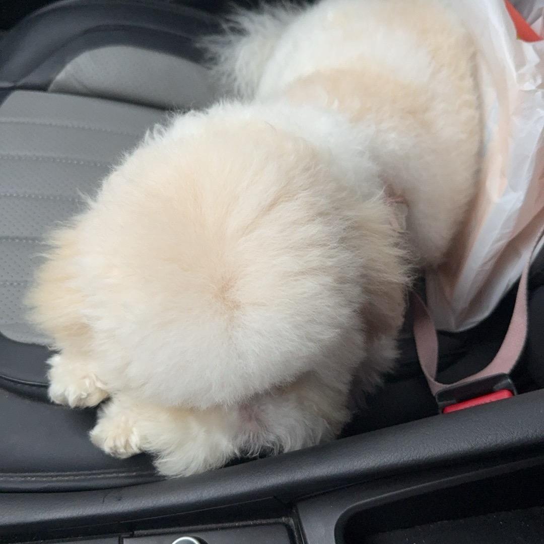 小洁洁的小洁洁🐑⋆͛ᵞᵐ