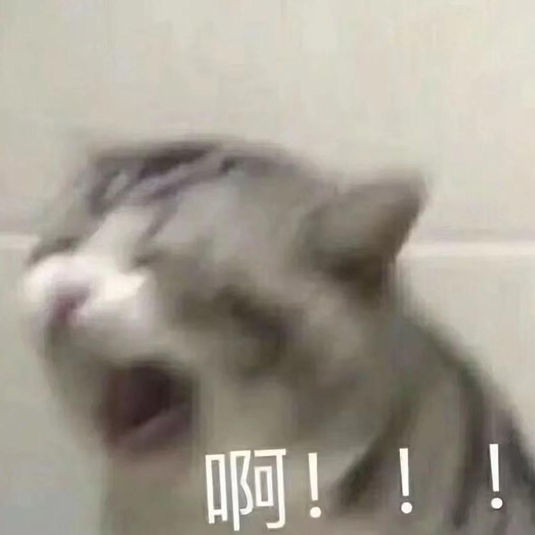 广东大噶扎