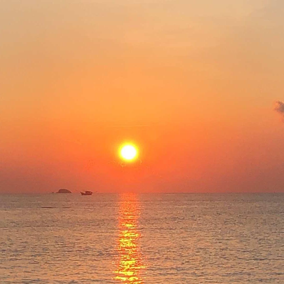 不蒋道理头像