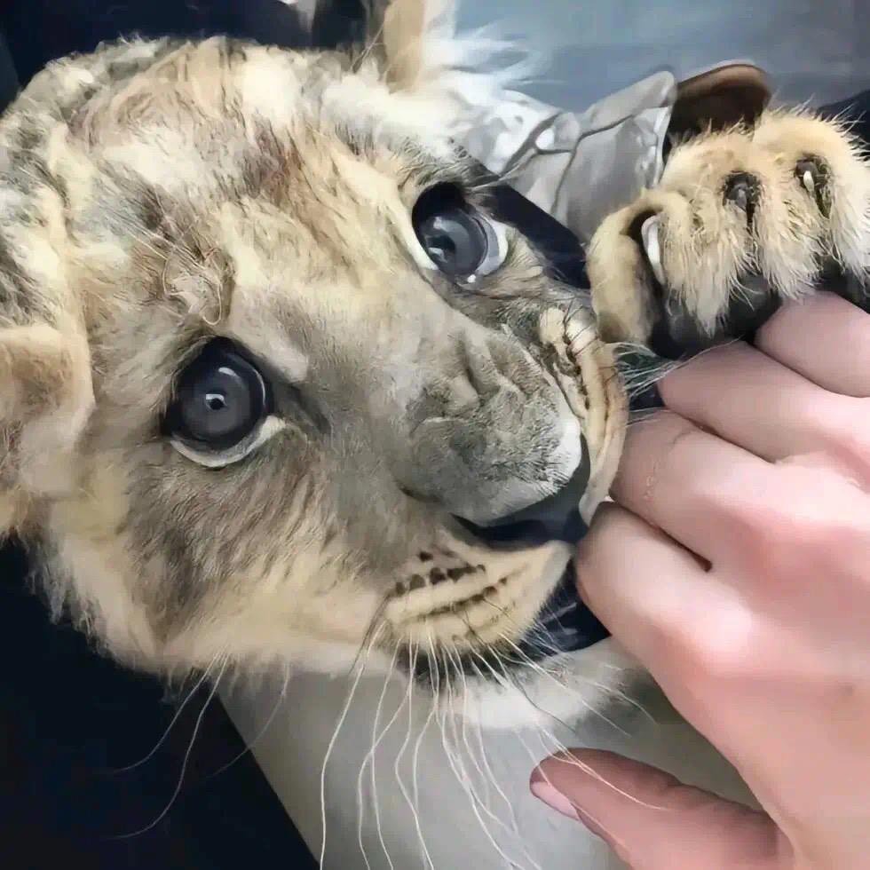 玉树市欧派大宅全案设计装修