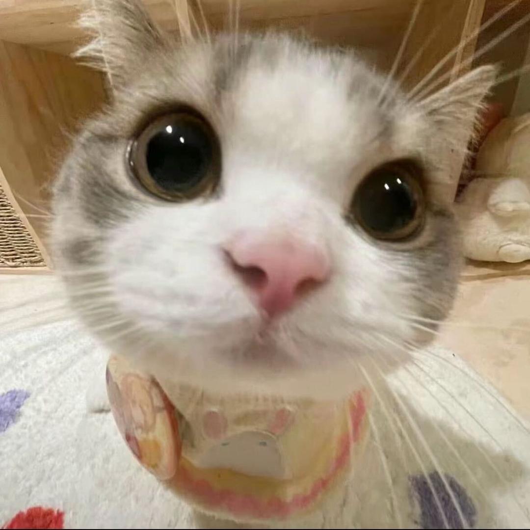 小霖ovo