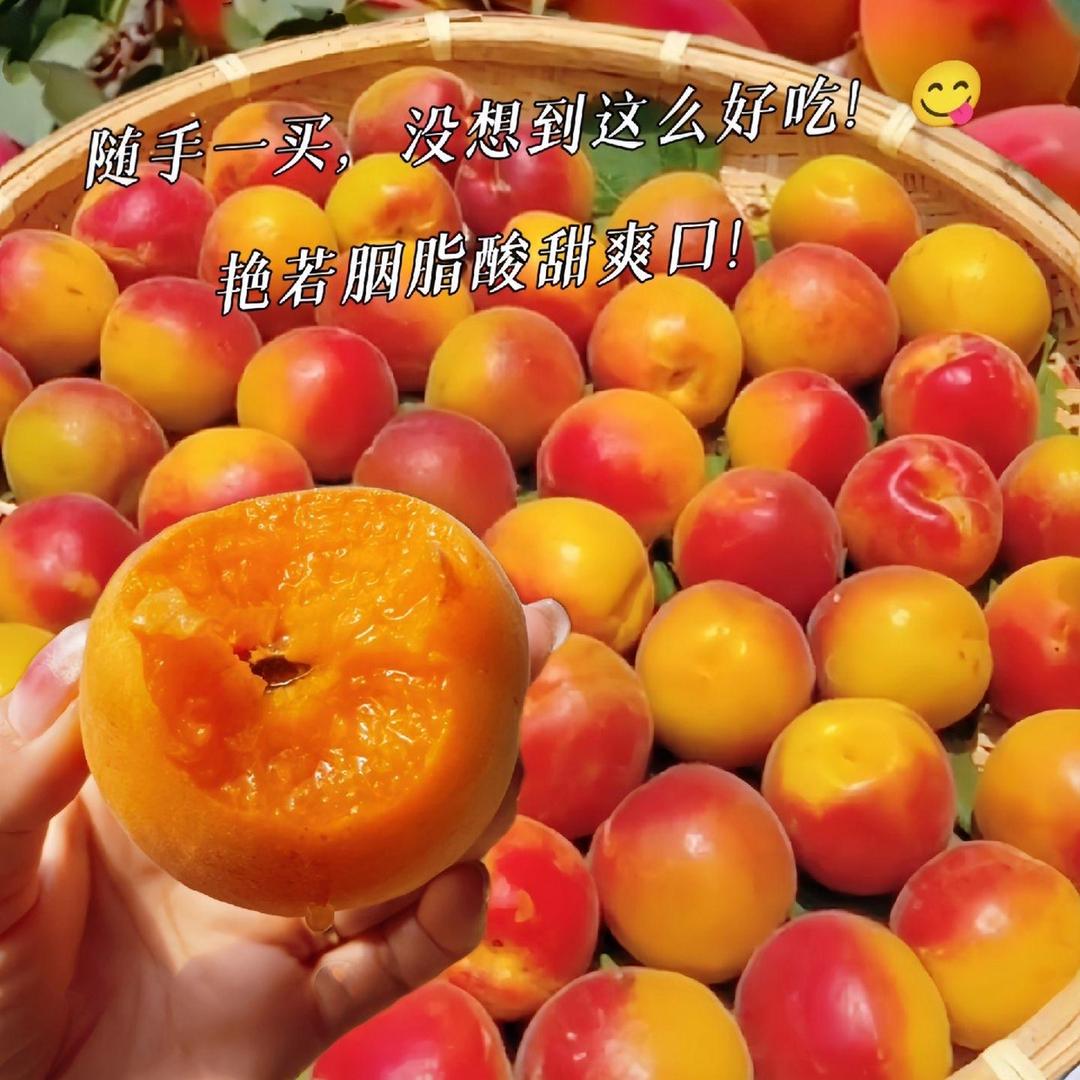川妹子农业水果批发