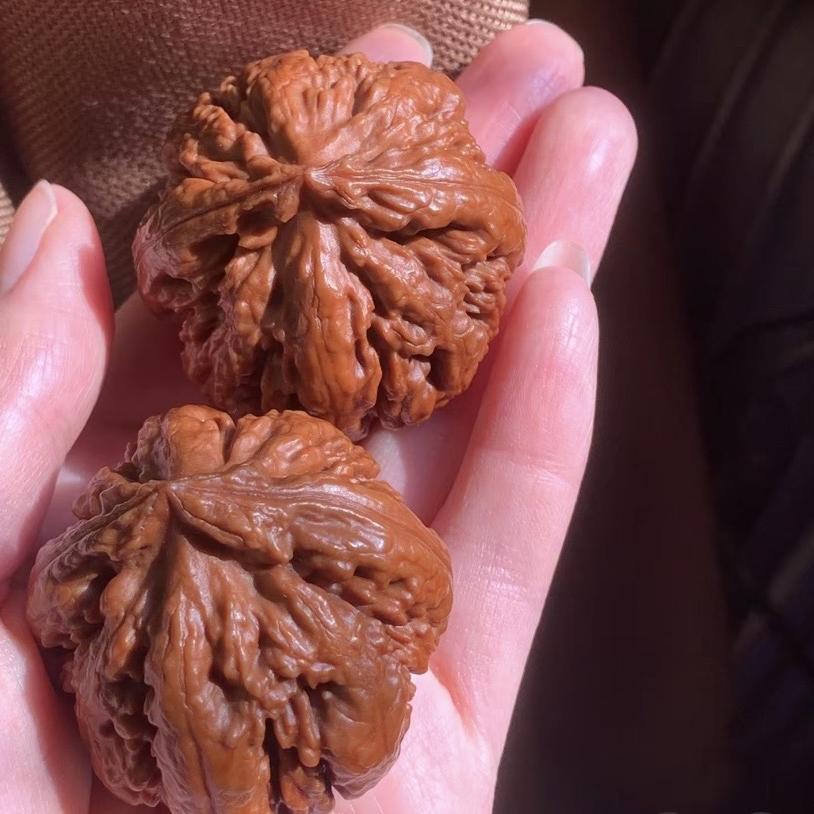 文玩霸王龙核桃