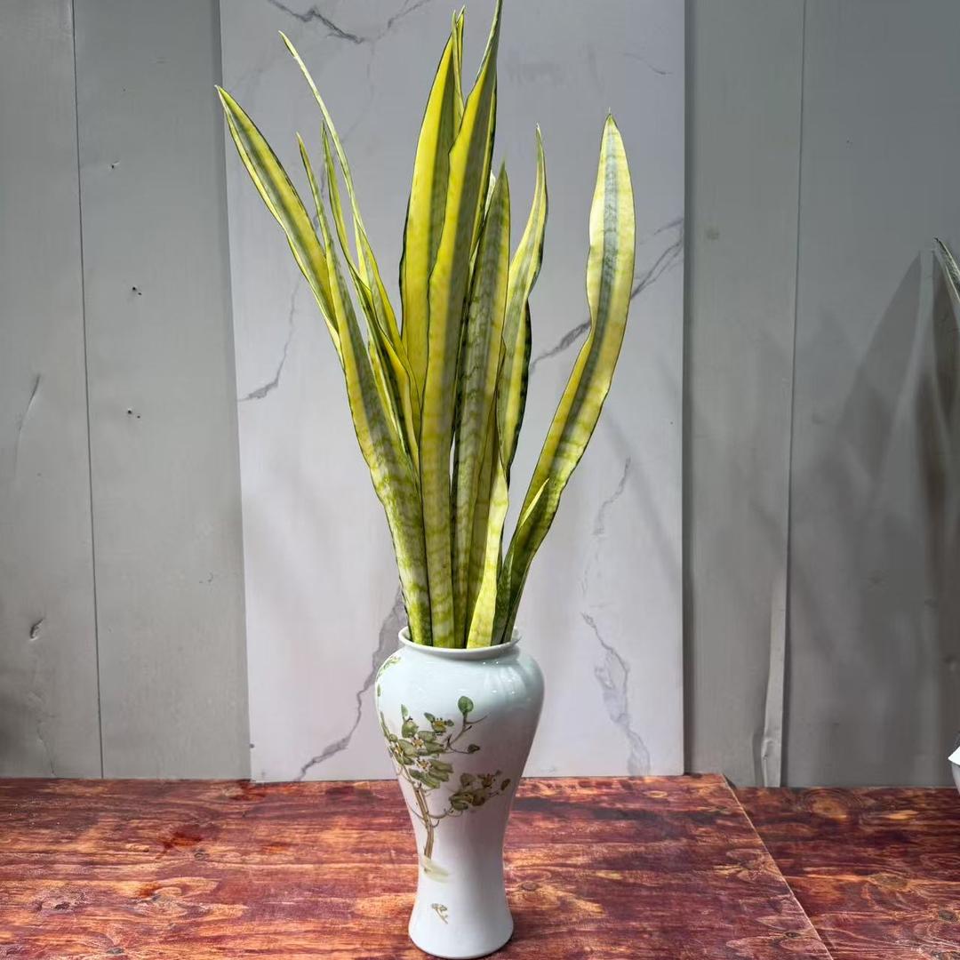 花博润花卉小铺