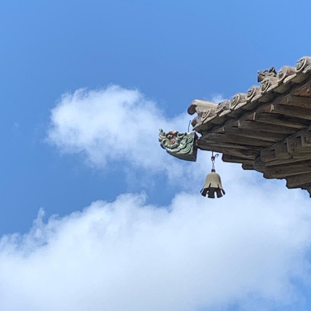 随心