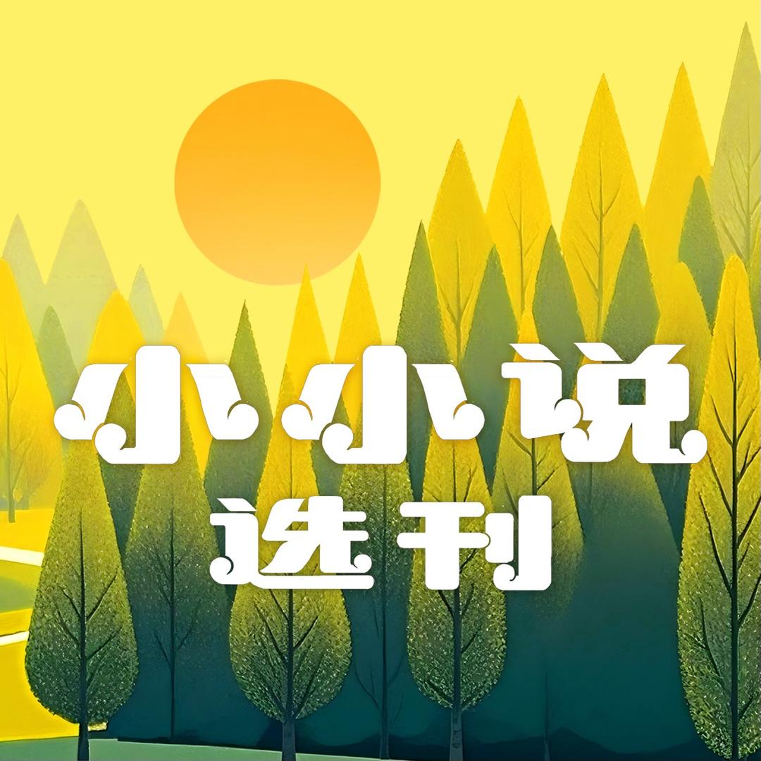 小小说选刊杂志