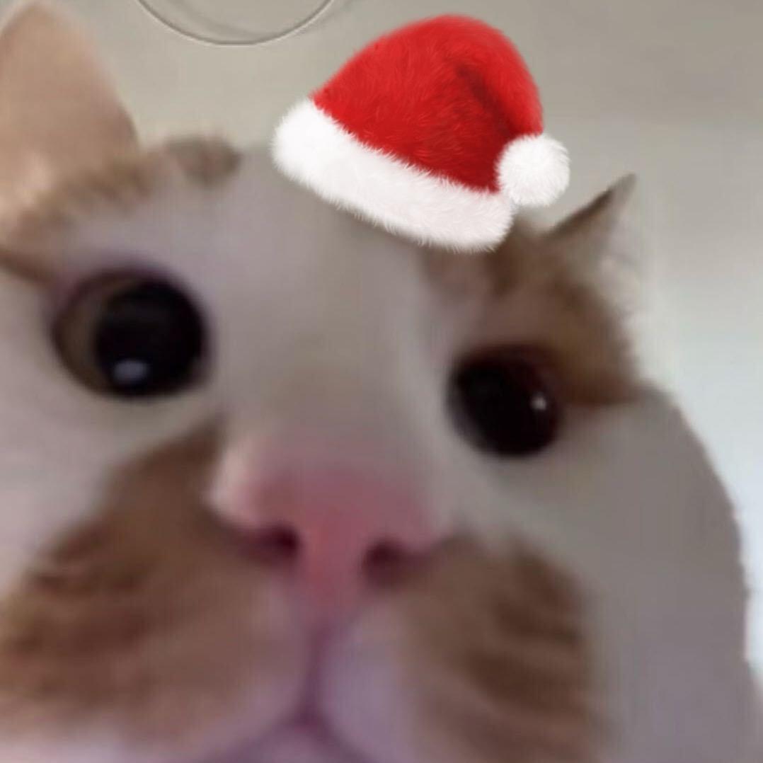 愿望是睡个好觉