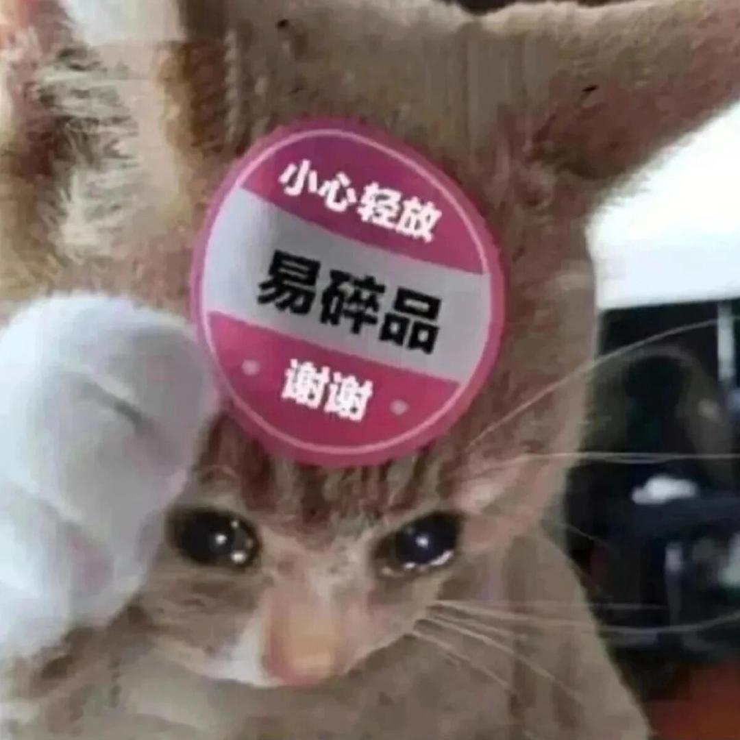 鸡舍又没关门