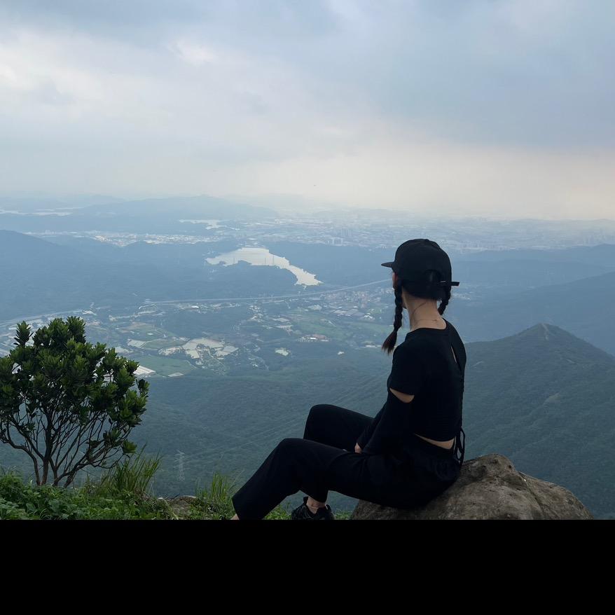 凤岗清溪好方向驾校