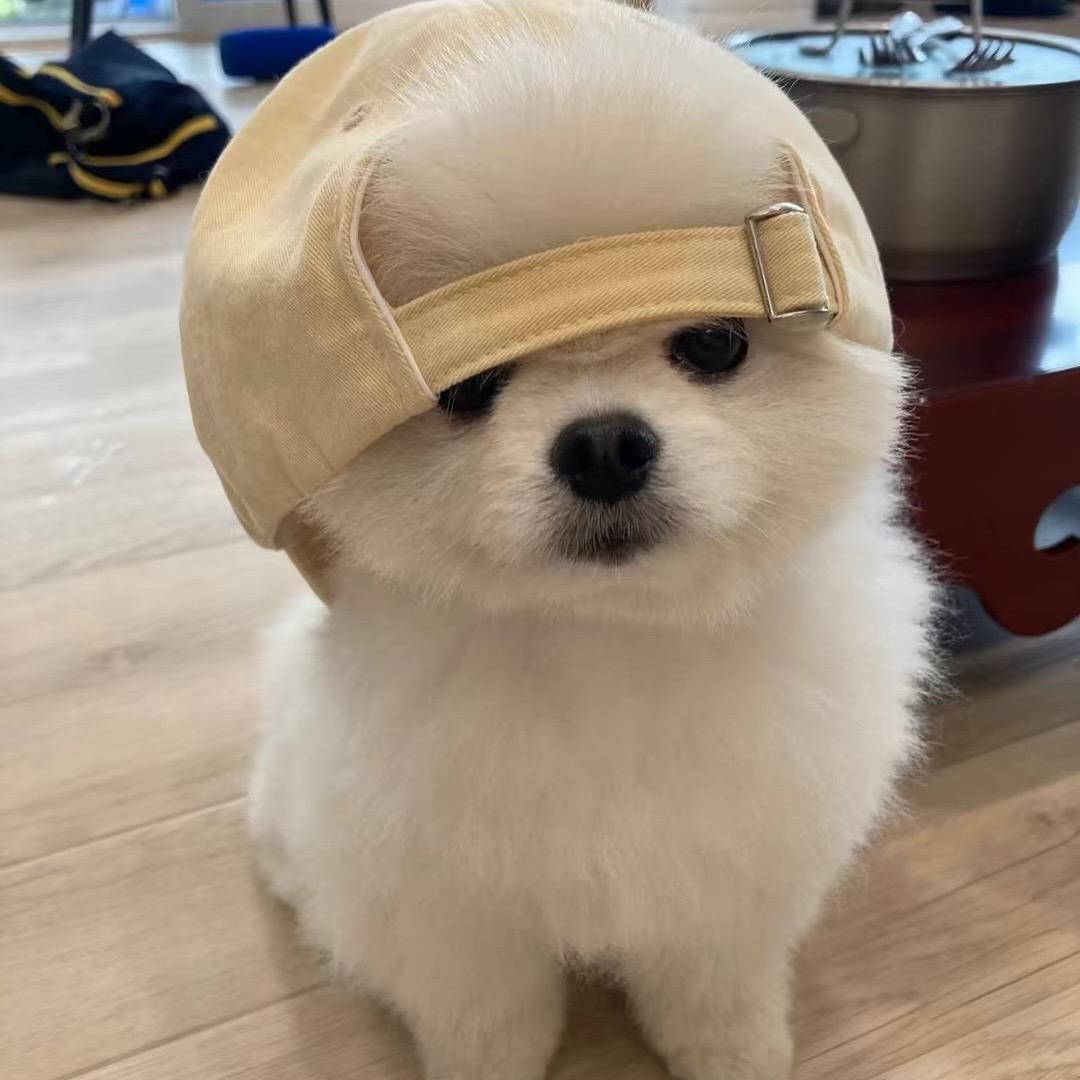 零点呆呆