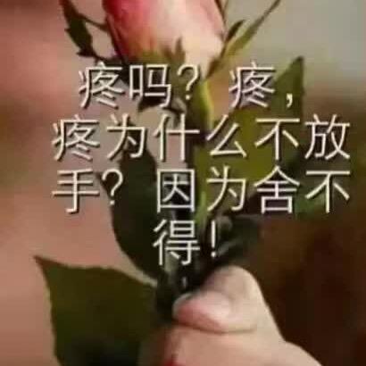 用户缘来你我