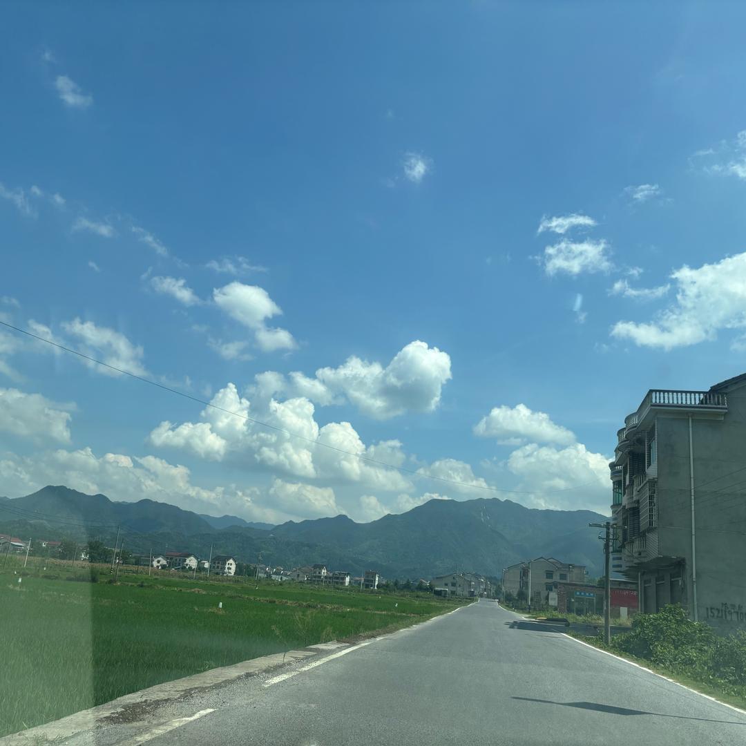 爱露营的李李