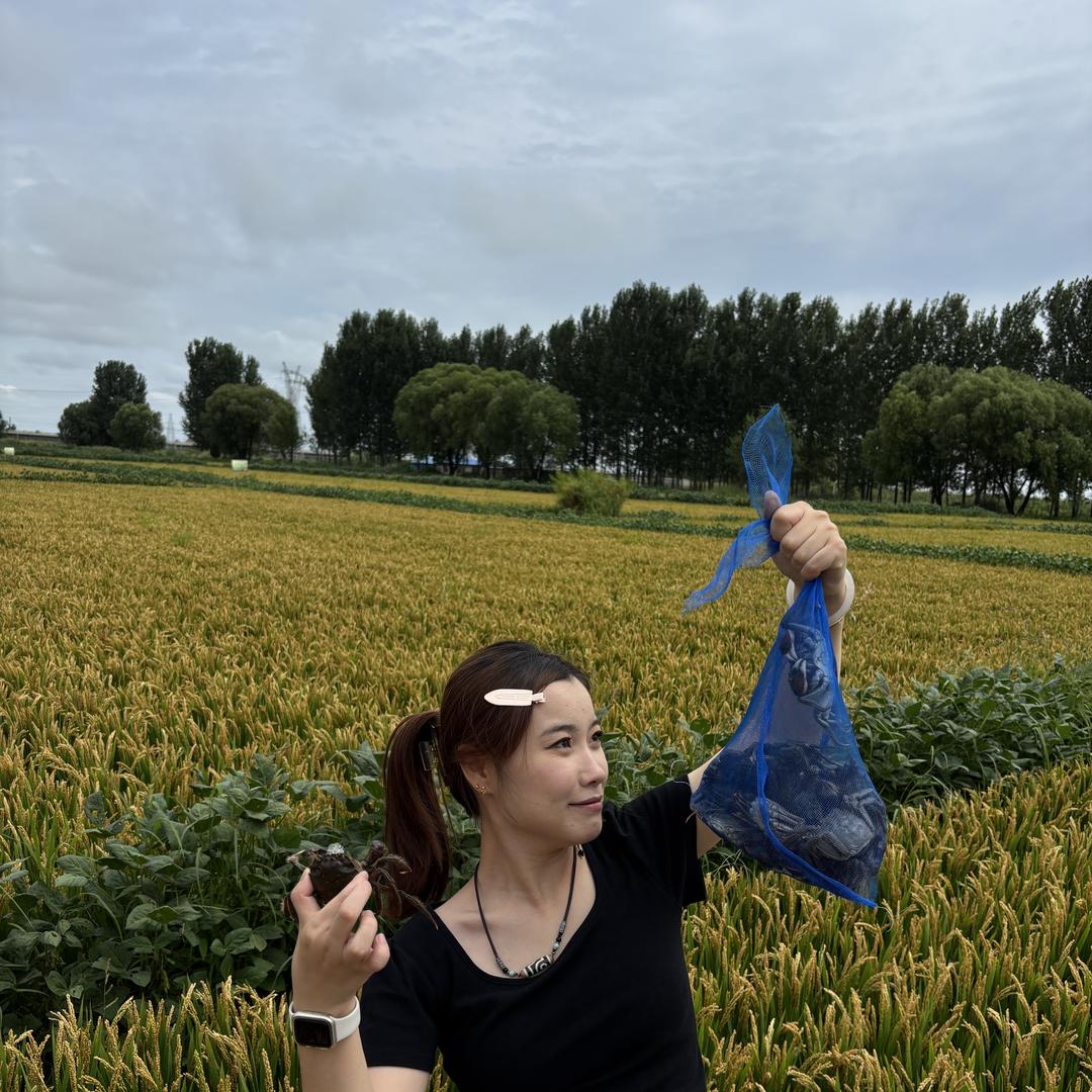 大嘴生鲜供应链