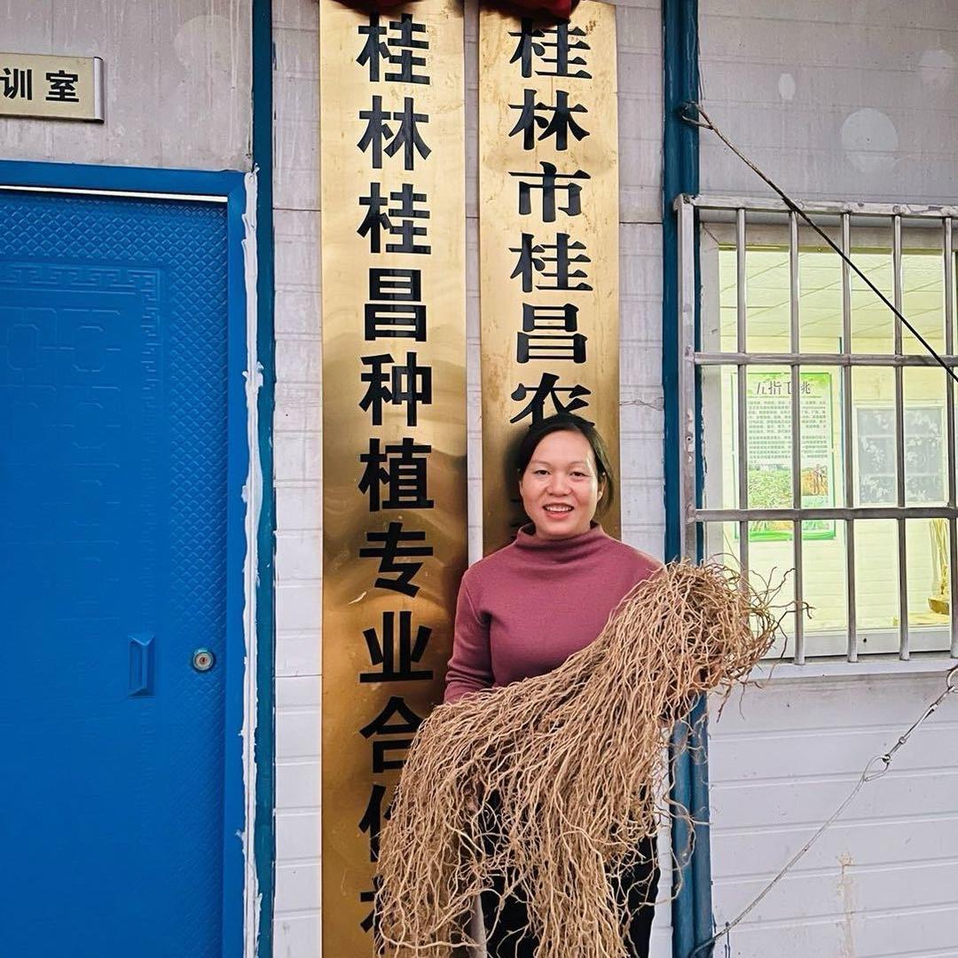 桂昌农业合作社药材种植（小兰）1