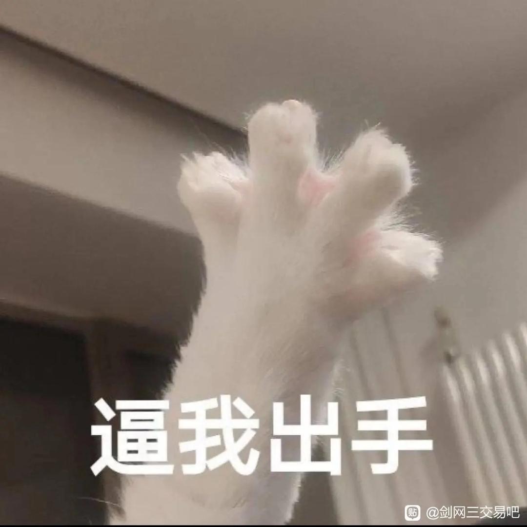 又菜又爱玩