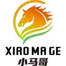 阜阳小马哥家居店