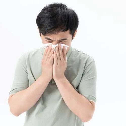 百代时珍鼻鼻通
