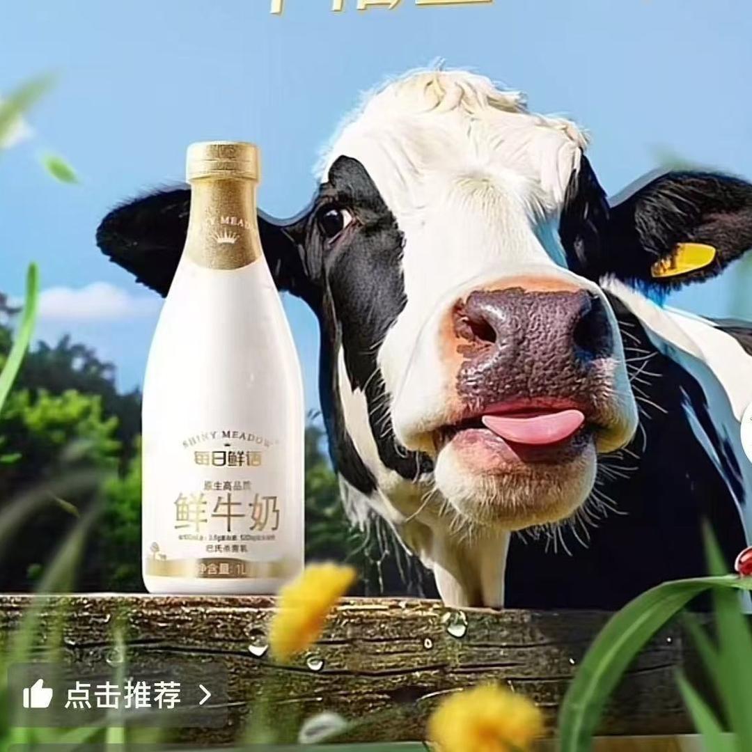巴盟奶王