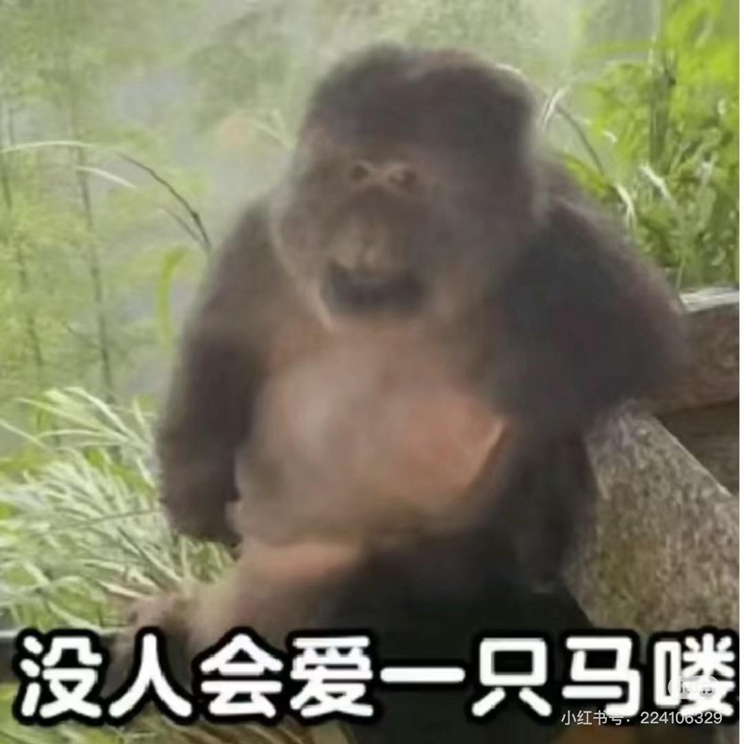 香菜西米露