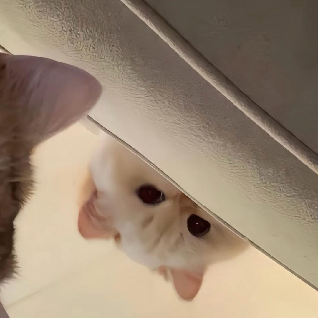 Llllll