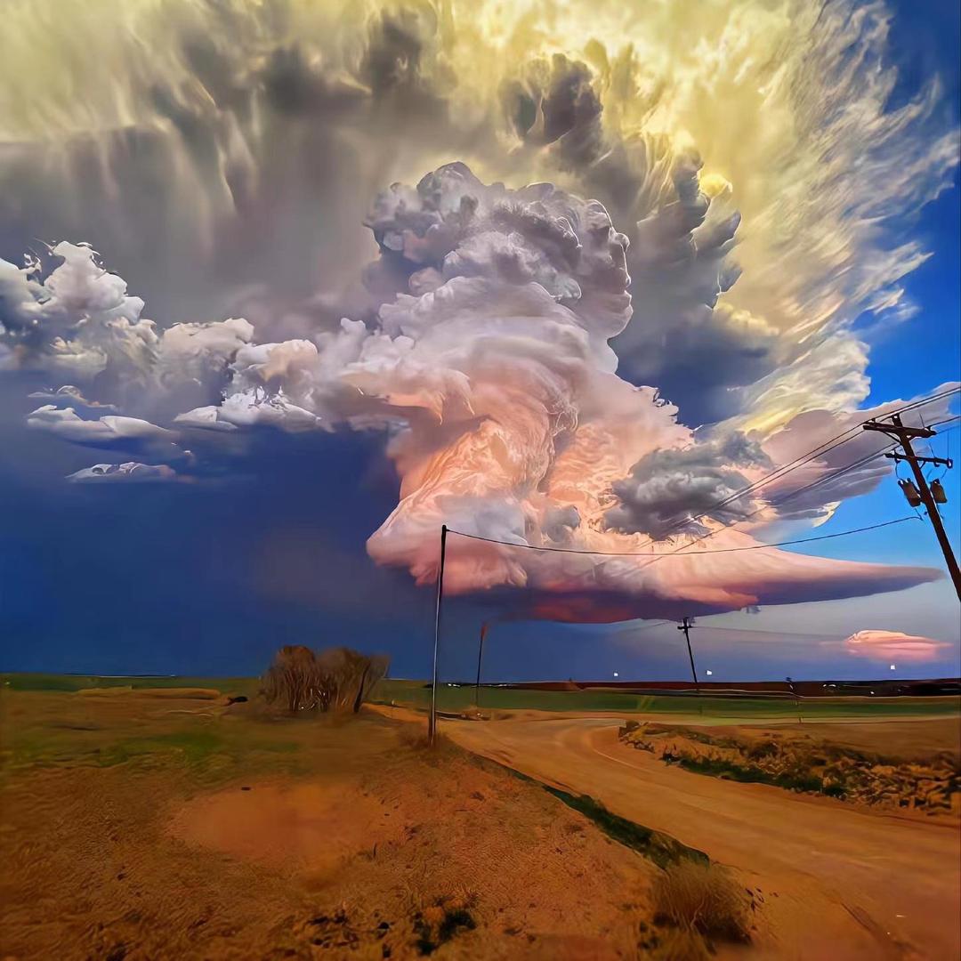 (ﾟﾛﾟ在下毛毛雨。        🪳