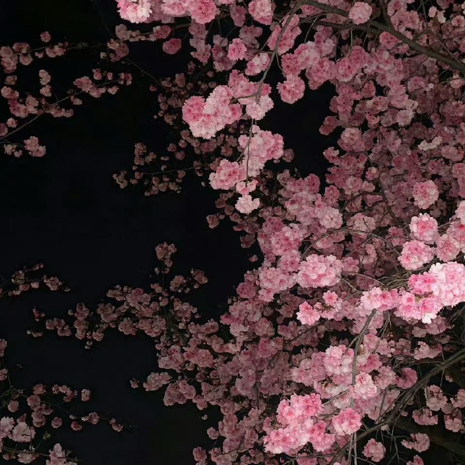 宝宝嘟