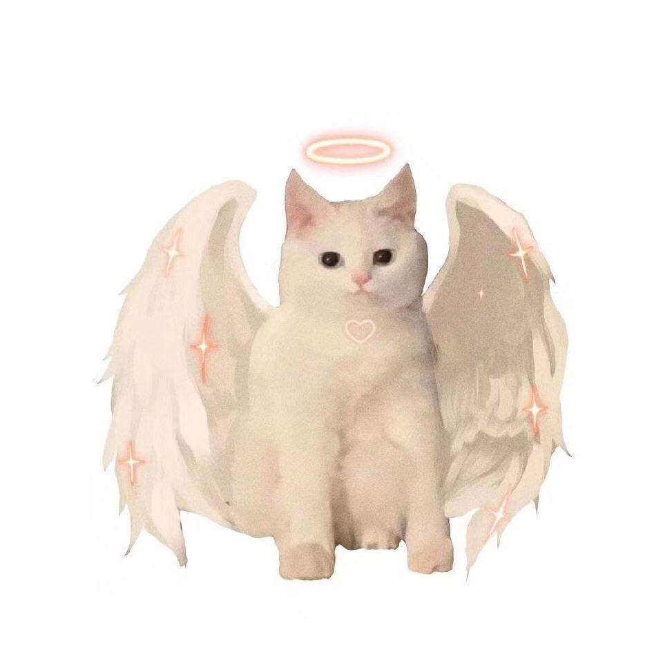 chui