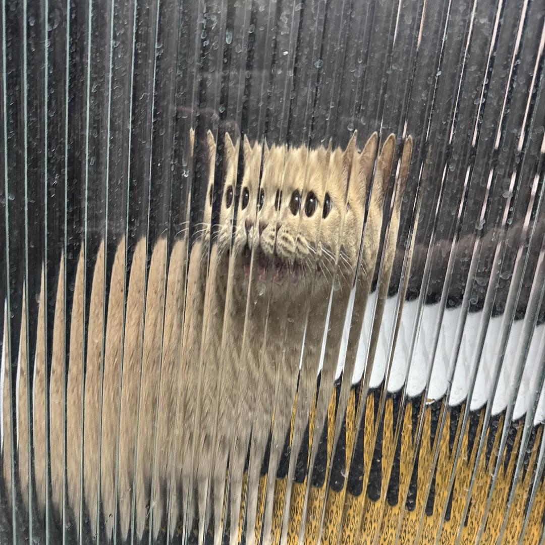 303知名男星